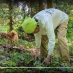 山菜採り 犬とミョウガタケ採ってひっぱりうどん作ったよ