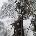 うな（1歳）が追った鹿を仕留めた